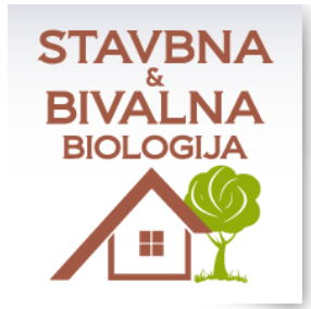 stavba